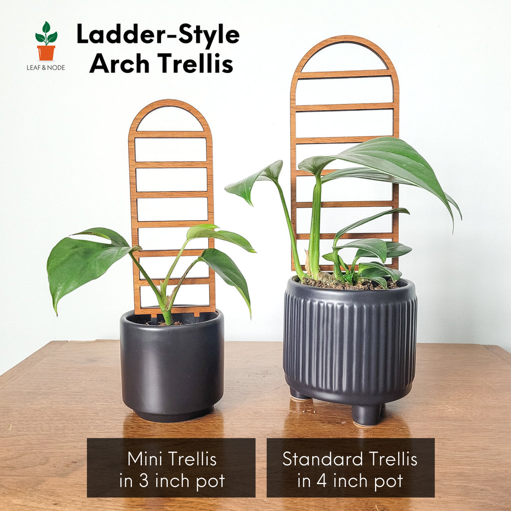 Ladder-Style Arch Trellis