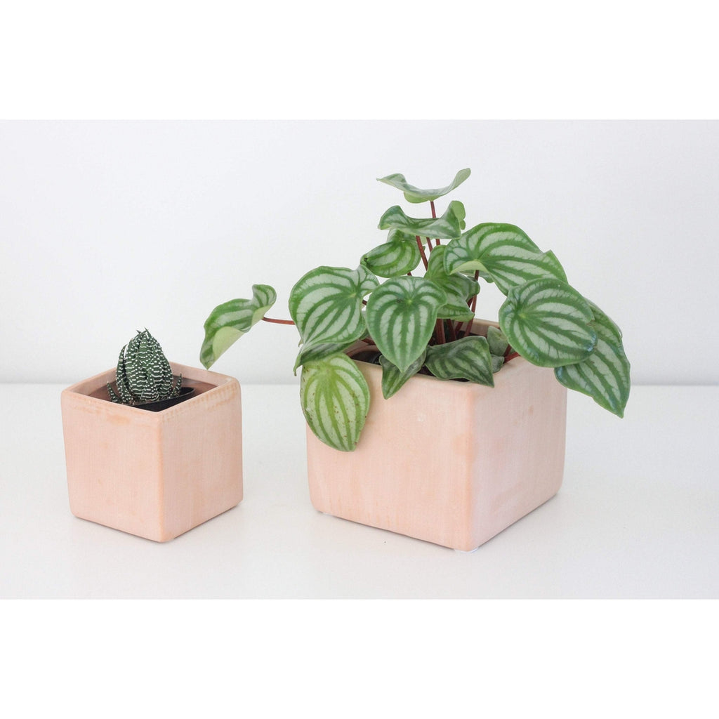 Mini Terracotta Blush Pink Cube Planter