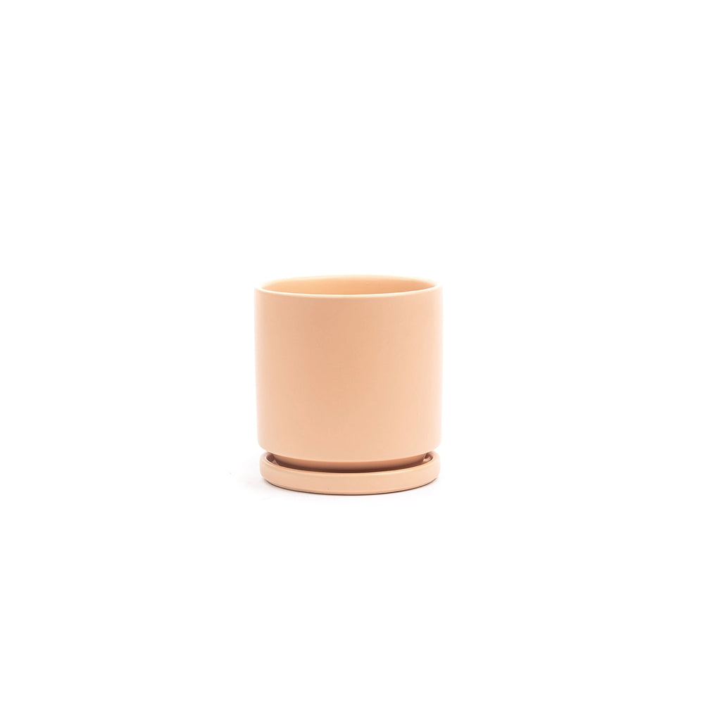 6.25" Gemstone Cylinder Pot with Water Tray - Blush