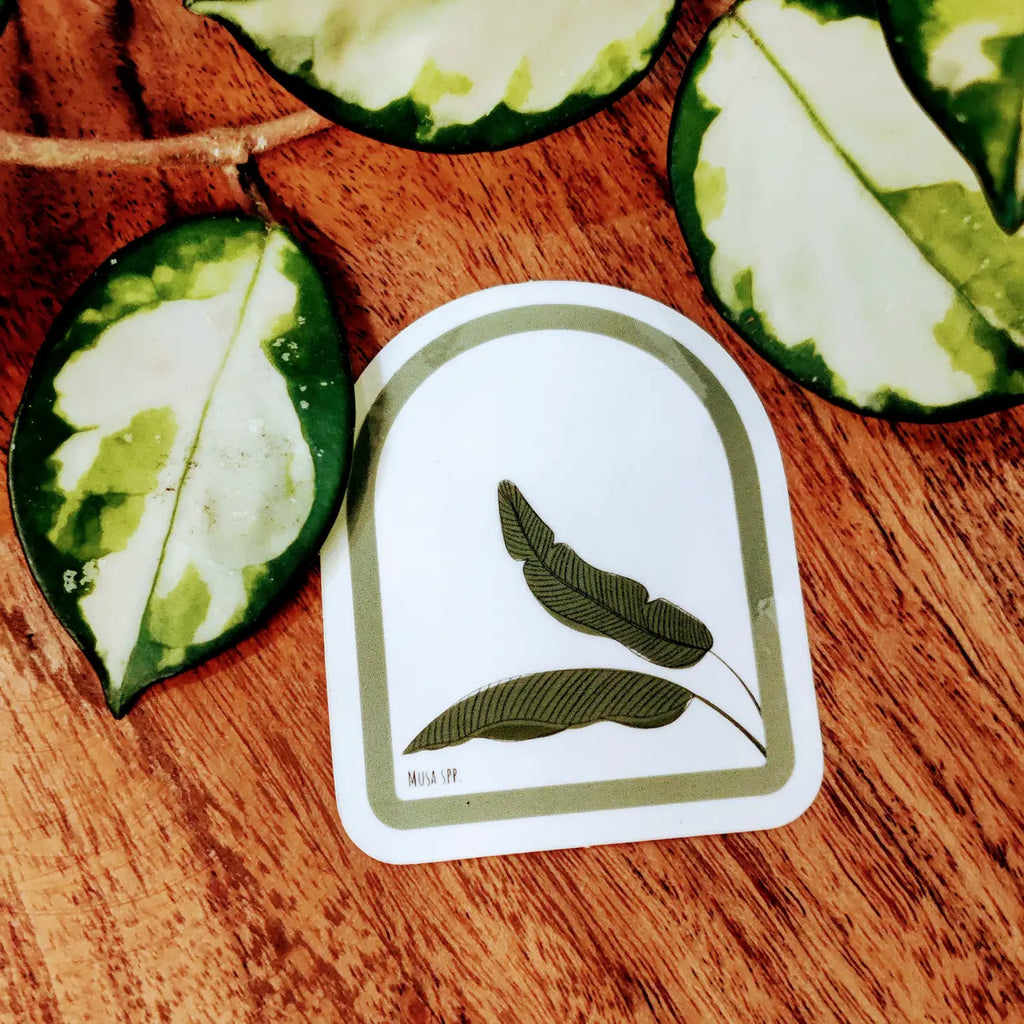 Clear Banana Leaf Sticker